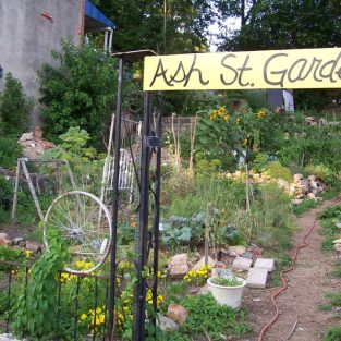 Ash Street Community Garden